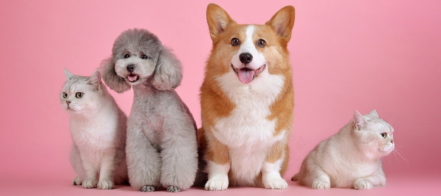 Fox Hollow Apartments 